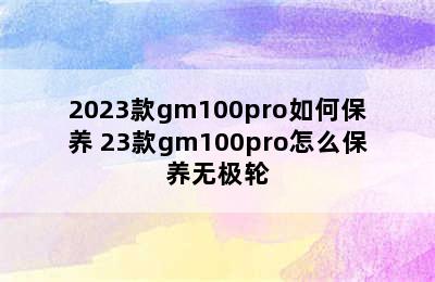 2023款gm100pro如何保养 23款gm100pro怎么保养无极轮